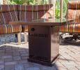 AZ Patio Heaters Outdoor Conventional Propane Fire Pit in Hammered Bronze